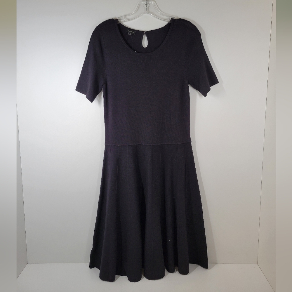 Talbots Black Rayon Blend Stretch A-line Fit N Flare Short Sleeve Dress Sz M NWT